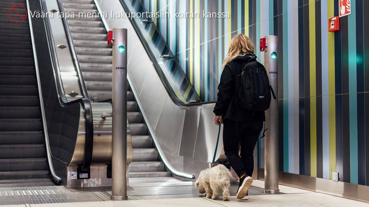 img_väärin_liukuportaat_koira