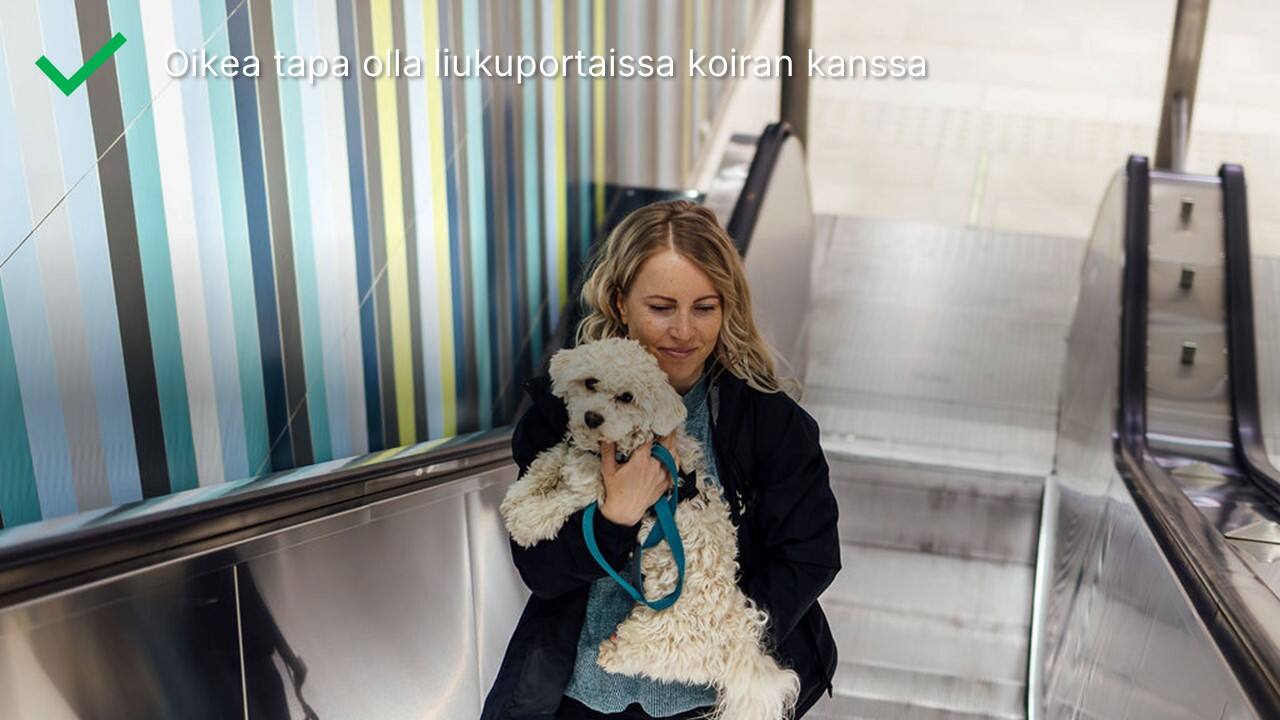 img_Laura ja koira liukuportaissa